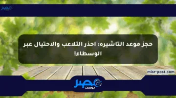 حجز موعد التأشيرة: احذر التلاعب والاحتيال عبر الوسطاء!